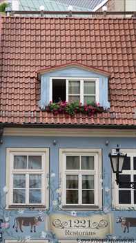 riga